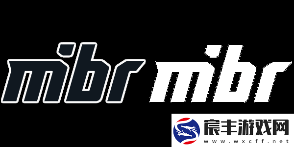 Thorin谈VP