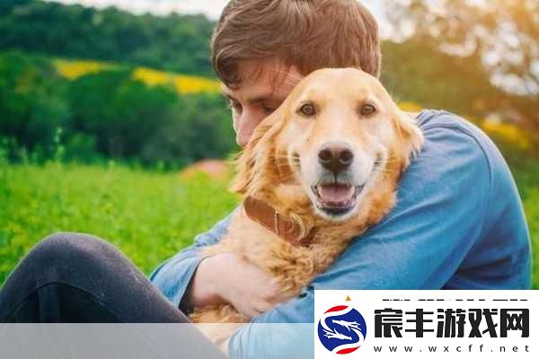 狗狗配人怎么配