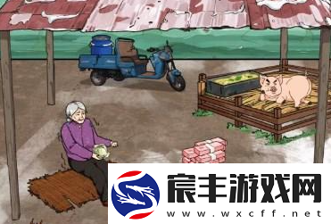 文字来找茬猪圈老人通关攻略