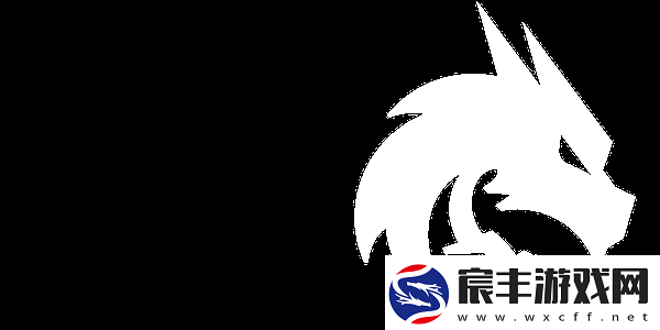 Thorin谈VP