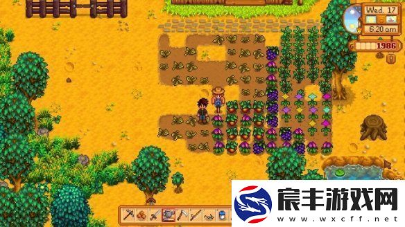 eShop周销量榜单