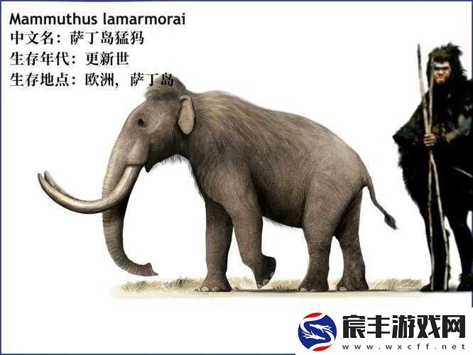 疯狂动物园巧克力风味新体验-探秘史前猛犸象的甜蜜奇迹