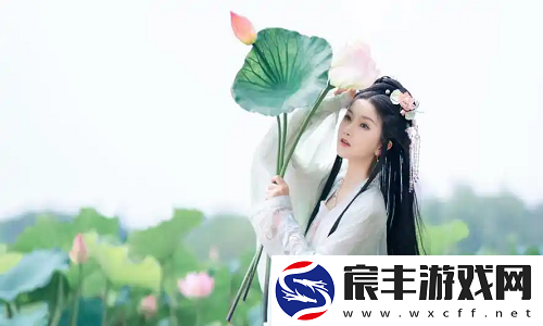 欧洲尺码与日本尺码专线不卡顿：看似简单却暗藏玄机-这样选择才不出错!