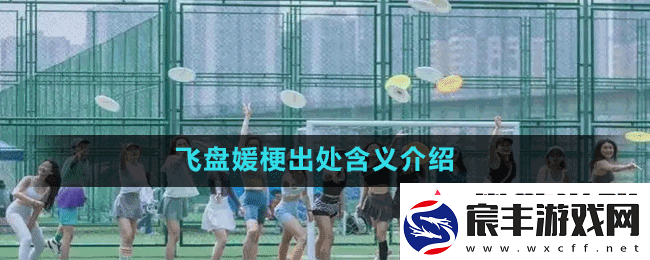 飞盘媛是什么梗-抖音飞盘媛梗出处含义介绍