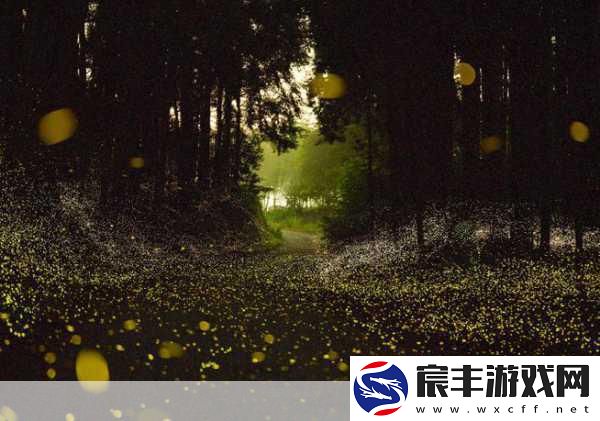 花与剑萤火虫-神秘光芒背后的奇幻之旅