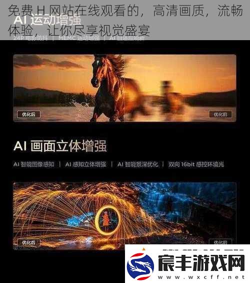 免费-H-站在线观看的-高清画质-流畅体验-让你尽享视觉盛宴