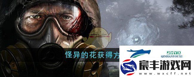 潜行者2怪异的花怎么获得-怪异的花获得方法