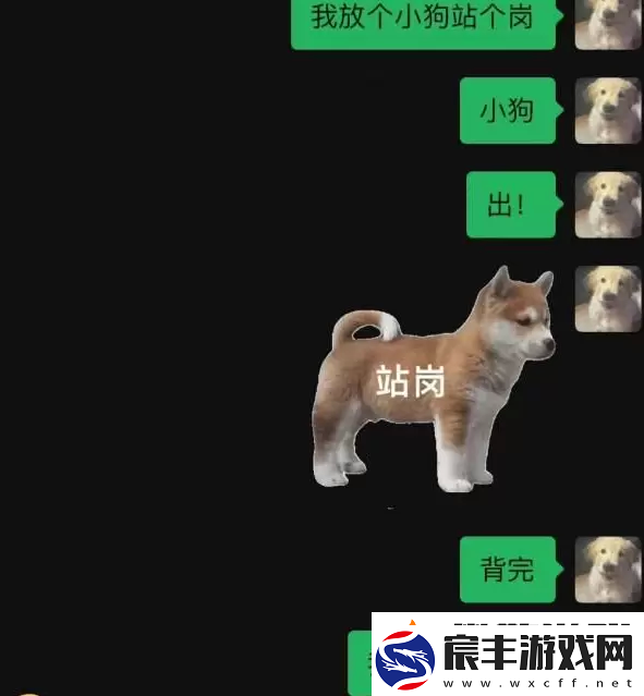 站岗小狗什么梗