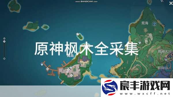 原神木材采集全攻略-助你轻松打造家园