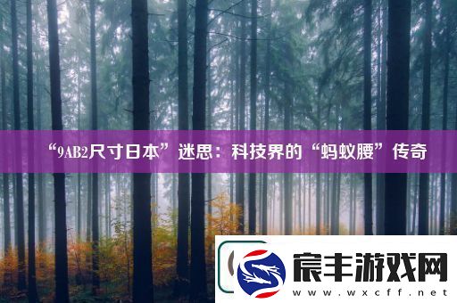 “9AB2尺寸日本”迷思：科技界的“蚂蚁腰”传奇