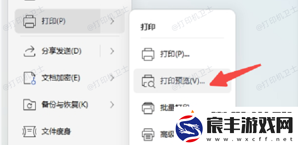 wps打印预览在哪