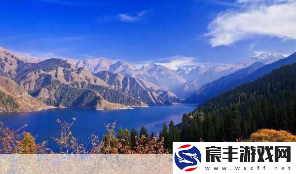中国新疆XLLLLL19D：探索新疆魅力：从自然风光到人文历史的全景之旅