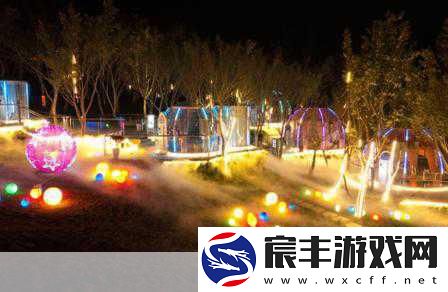 夜间100款禁-1.-夜间趣味活动100款-让你的夜生活更加精彩