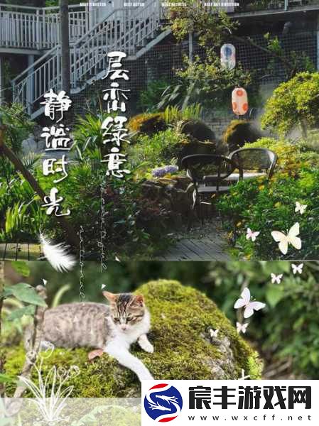 忙忙碌碌猜最正确一肖：在繁忙生活中追寻内心的宁静与平衡