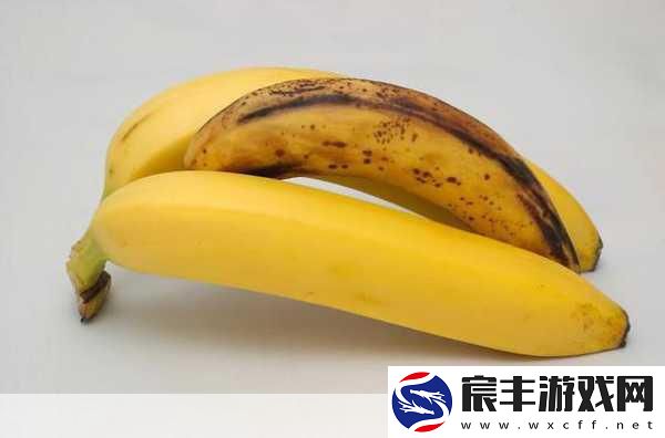 香蕉视频-阅读：探索香蕉视频的魅力与多样性-带你畅享无限乐趣！