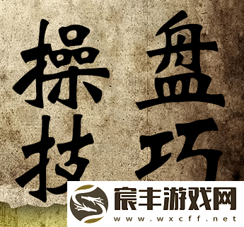 宝石海星强力配招-策略与实战的深度剖析