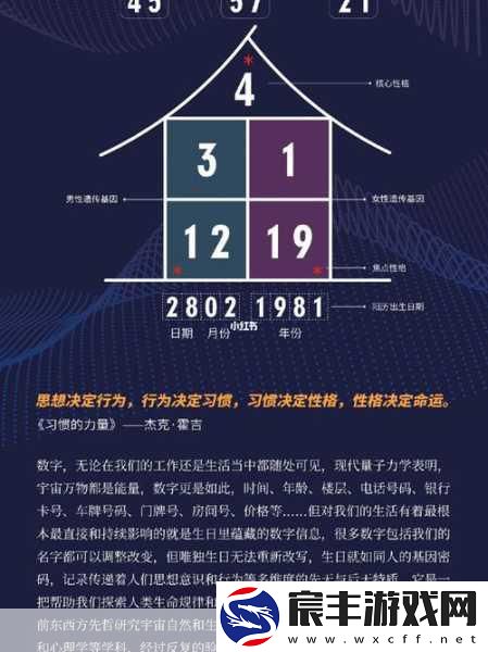 9.1免费板：探索拓展9.1免费板的无限可能与应用场景