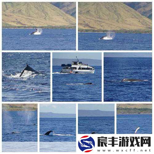 天堂官网在线观看-畅享拓展天堂官网：带你探索无限可能的新天地！