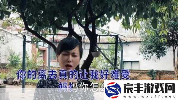 高清mv妈妈我想你看完泪目1.妈妈我在异乡思念您的温暖怀抱