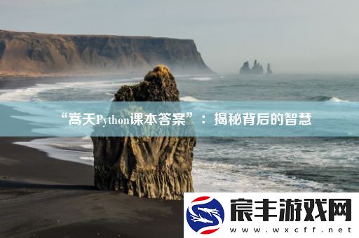 “嵩天Python课本答案”：揭秘背后的智慧