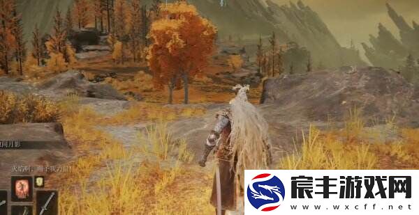 艾尔登法环卢克斯废墟位置在哪