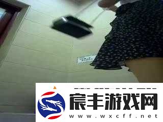 最新厕拍美女免费播放：厕所里的私密瞬间