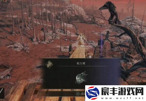 艾尔登法环荒废废墟位置在哪 荒废废墟全流程图文攻略