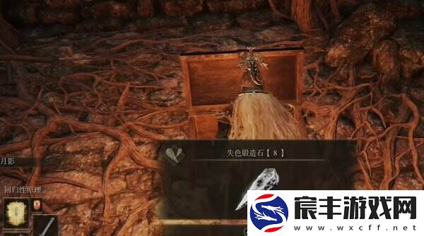 艾尔登法环月之民废墟隐藏门在哪