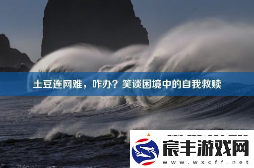 土豆连网难咋办笑谈困境中的自我救赎