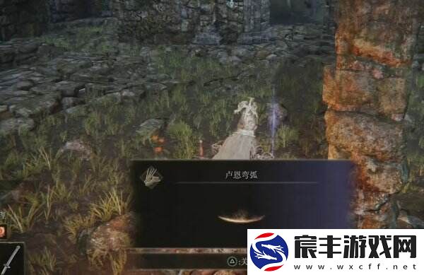 艾尔登法环月之民废墟隐藏门在哪