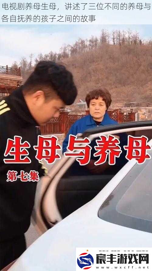 电视剧养母生母讲述了三位不同的养母与各自抚养的孩子之间的故事