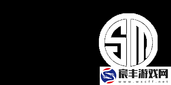 Rejin：很遗憾-TSM基础设施和资源匮乏-自己还要身兼数职