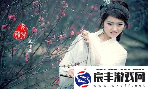 三年片大全免费观看：观影不再受限-精彩内容尽在触手可及的平台