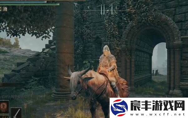 艾尔登法环亚人森林的废墟地下室在哪 亚人森林的废墟全流程攻略