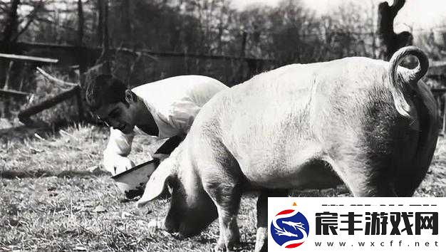 人-OR-猪-OR-狗最终还是被发现了：一场追踪与反追踪的较量