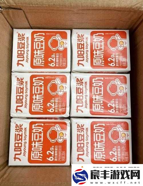 不一样的豆奶-不一样的口感享受