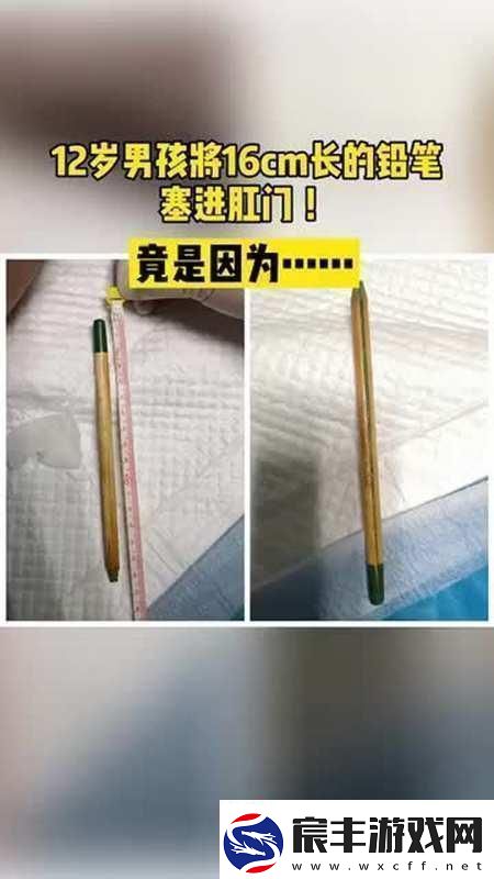 12岁隐私能放几支笔：友热议我却在想科技时代的“笔”竟成了隐私试纸！