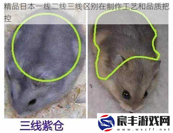 精品日本一线二线三线区别在制作工艺和品质把控