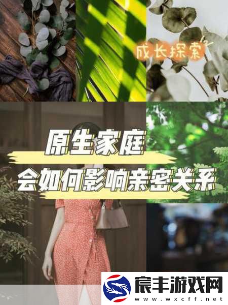 蜜芽永不失联：蜜芽永不失联：守护亲密关系的桥梁与纽带