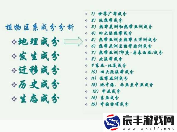 海角精产国品一二三区：推动海角精产国品一二三区发展-助力区域经济繁荣