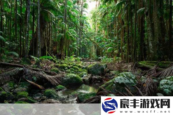 东南亚10一12仙踪林的旅游景点：探索东南亚神秘仙踪林：十大不可错过的迷人旅游景点