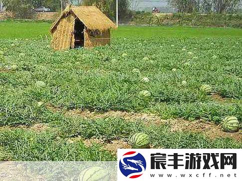 暗黑风云再起-爆料瓜田等你深挖-最新猛料不容错过！