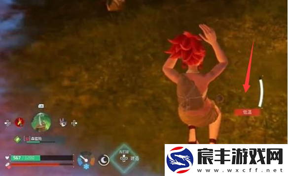 幻兽帕鲁手游在夜间低温时该如何应对