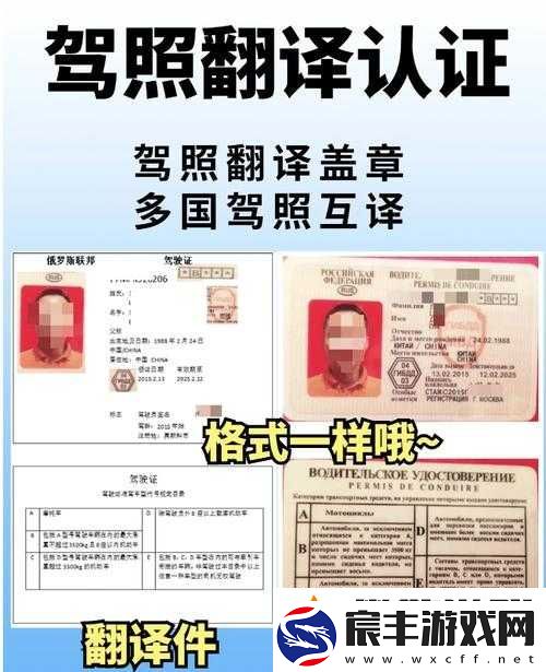 络流行语开车的深层含义及用法全面介绍解析