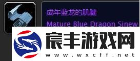 魔兽世界成年蓝龙的肌腱有什么用魔兽世界成年蓝龙的肌腱作用介绍