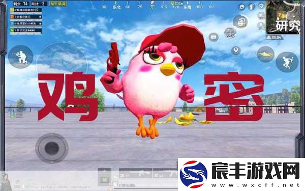 和平精英小鸡形象展示秘籍-让队友眼前一亮！