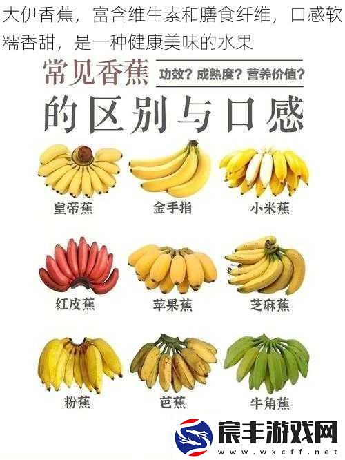 大伊香蕉-富含维生素和膳食纤维-口感软糯香甜-是一种健康美味的水果