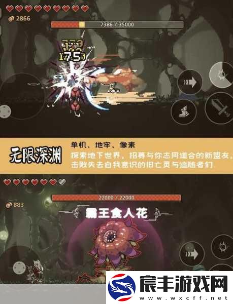 艾诺迪亚3刺客装备掉落：艾诺迪亚3刺客装备掉落全攻略与解析