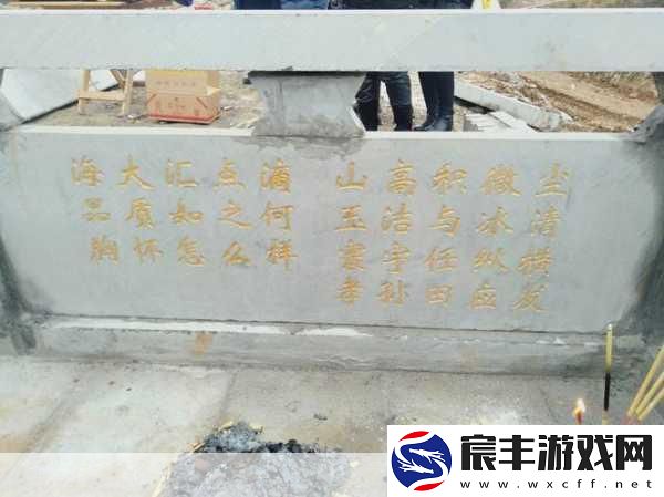 儿子代父职耕母田