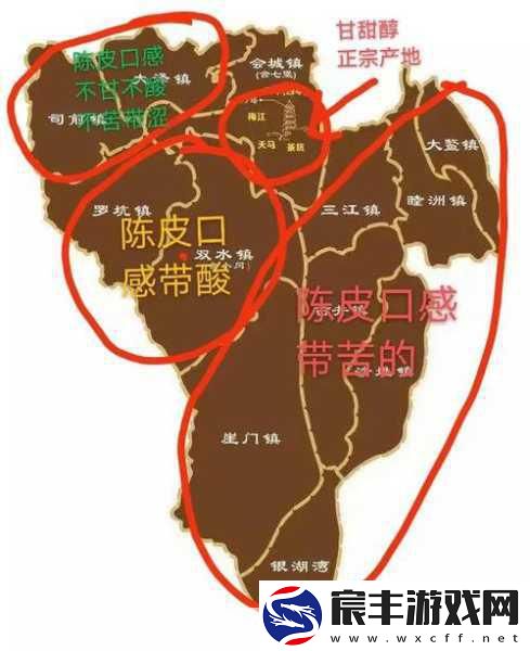 一线产区和二线：推动一线产区与二线市场的协同发展与拓展策略